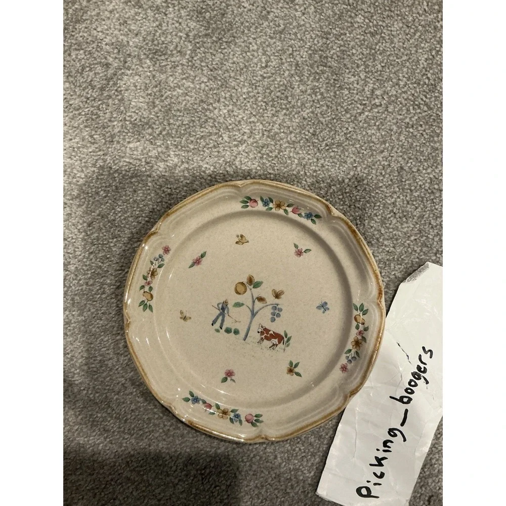 Set of 10 International Heartland Dinner Plate Farmhouse Country Stoneware Sakur